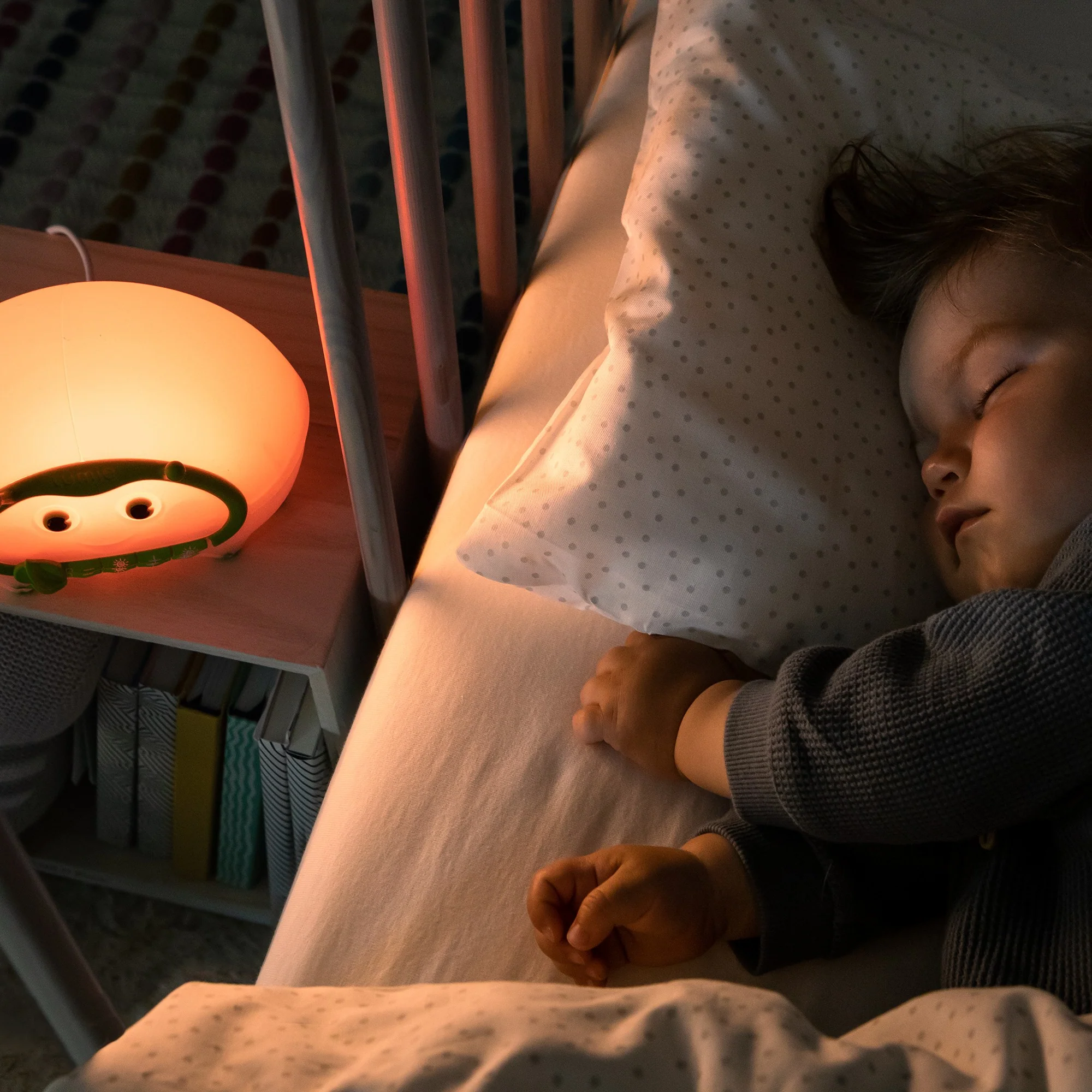 Bedbug - Image 7